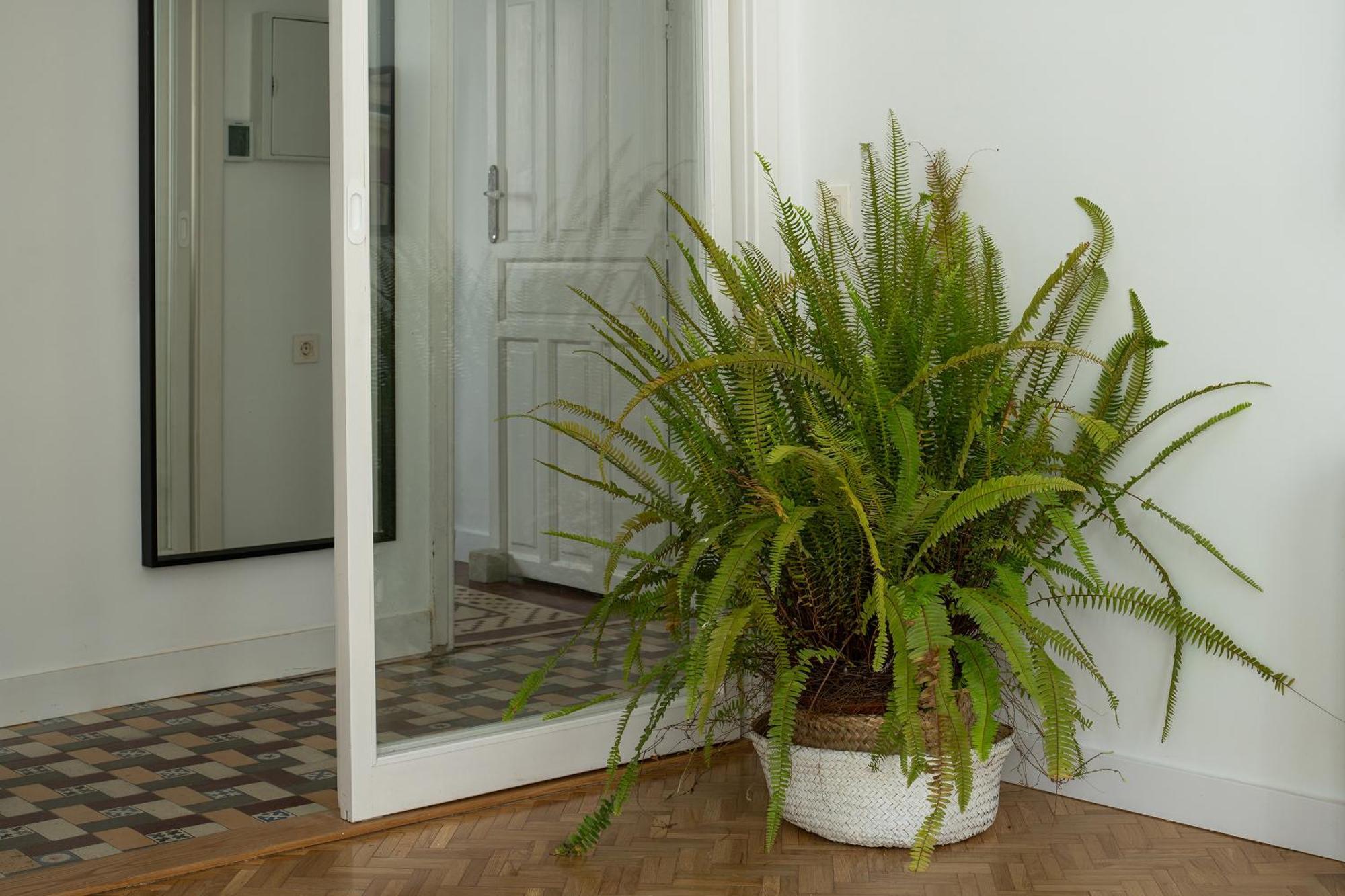 Parking Free, Granada Vintage Haven Apartment Ngoại thất bức ảnh